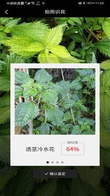 識(shí)花神器截圖