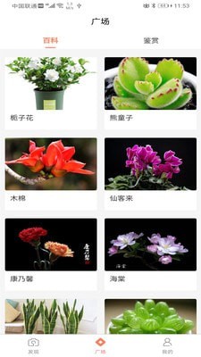 識(shí)花神器截圖