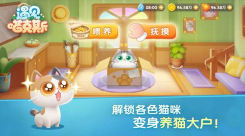 遇見喵克斯安卓測試版
