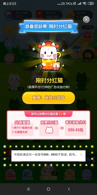 瘋狂合貓貓