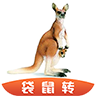 袋鼠轉(zhuǎn)