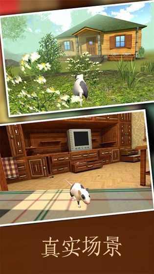 疯狂地鼠3d模拟安卓版截图