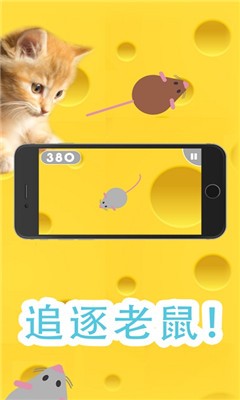 Games For Cats中文版截图