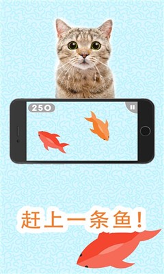 Games For Cats中文版截图