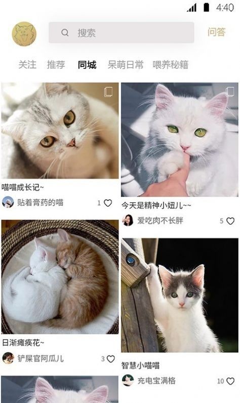 寵物伊甸園截圖