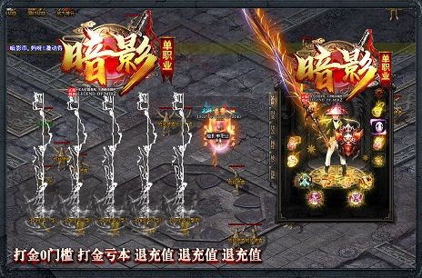 暗影单职业截图3