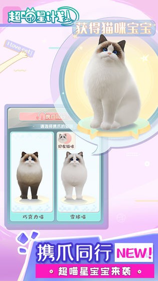 超喵星計(jì)劃截圖