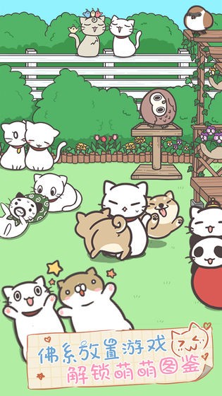 貓咪飼養(yǎng)日常截圖