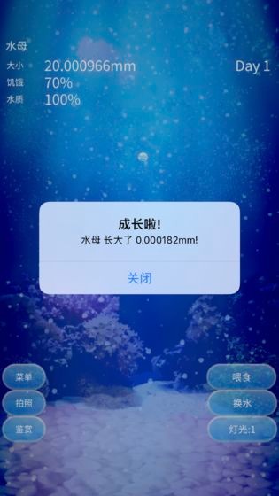 養(yǎng)育水母的治愈游戲截圖