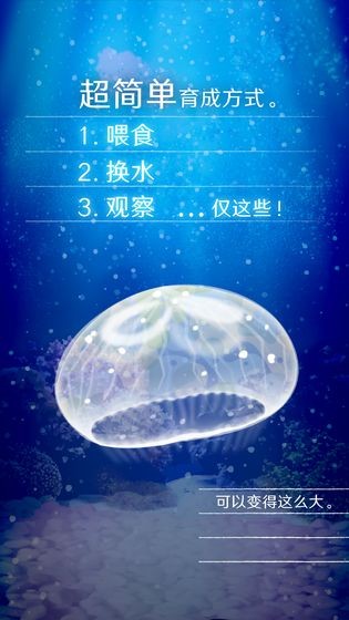 養(yǎng)育水母的治愈游戲截圖