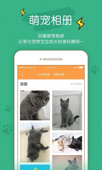 寵物部落