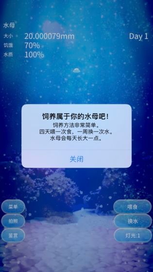 養(yǎng)育水母的治愈游戲測試版截圖