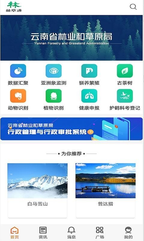 林草通截圖