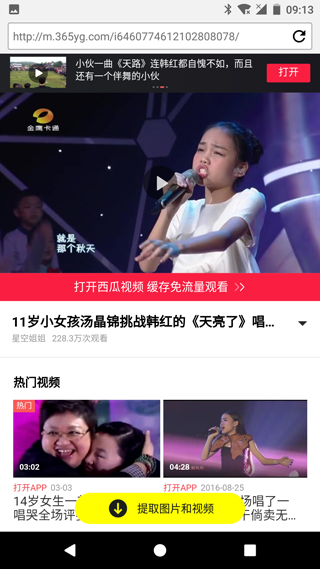河豚瀏覽器截圖