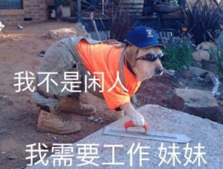 抖音打工人表情包2020