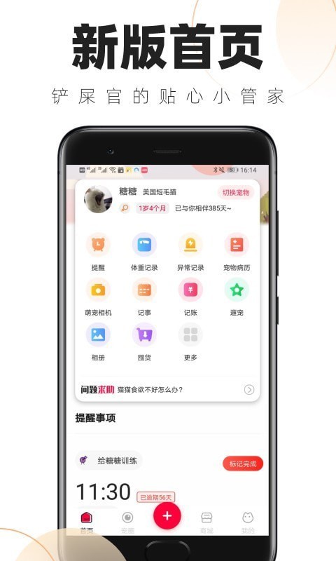 鏟屎官的日常