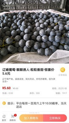 量子美食截圖