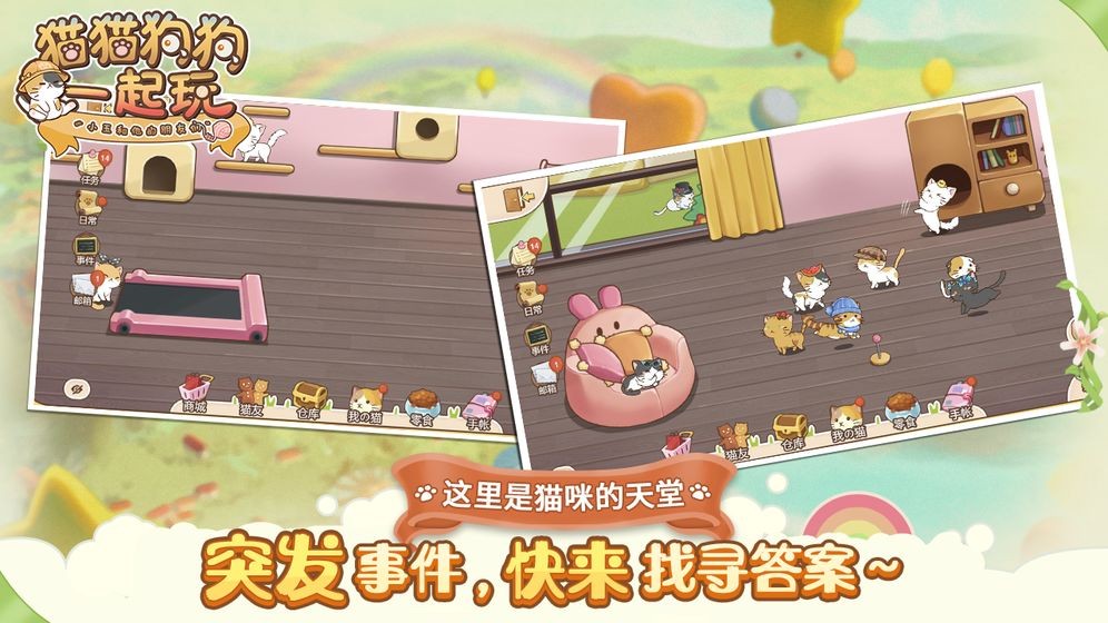 貓貓狗狗一起玩截圖