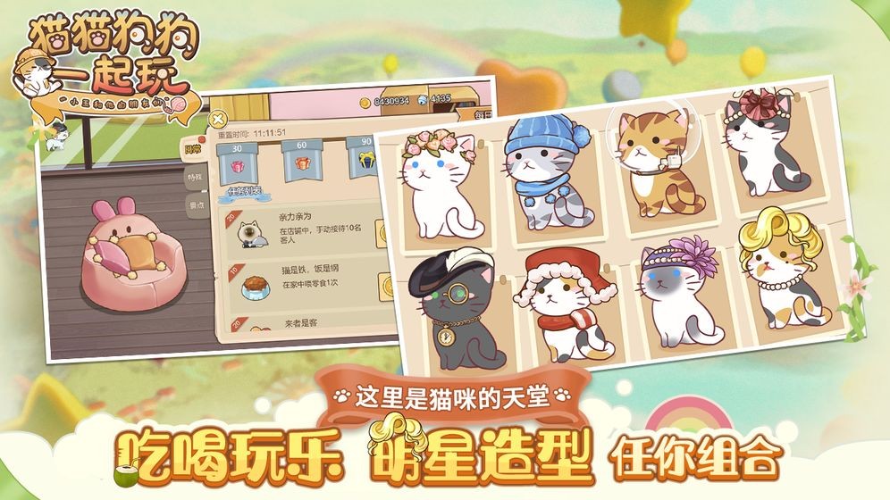 貓貓狗狗一起玩截圖