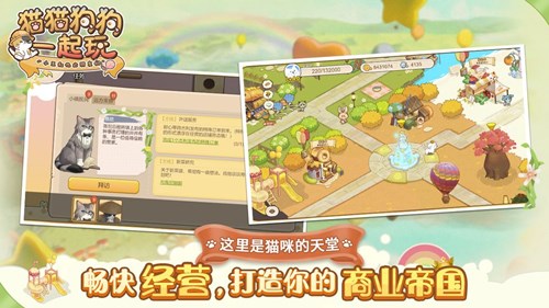 貓貓狗狗一起玩