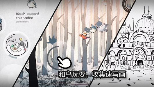 森鳥(niǎo)畫語(yǔ)截圖