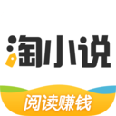 淘小說