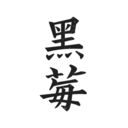 黑莓小說