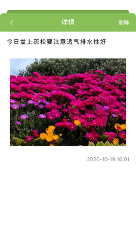 沁花養(yǎng)記