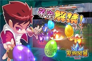寵物風(fēng)暴截圖