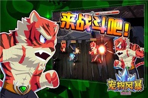 寵物風(fēng)暴截圖