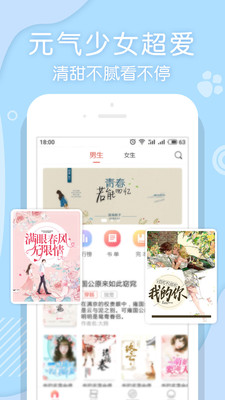 翻糖小說(shuō)