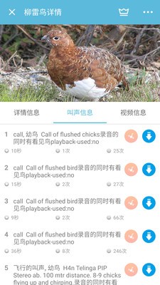 鳥叫聲大全截圖