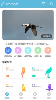 鳥叫聲大全截圖