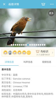 鳥叫聲大全截圖