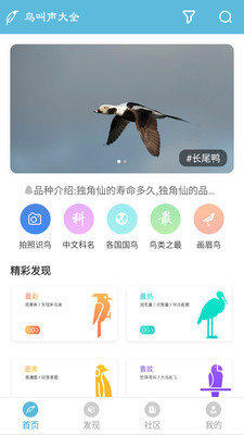 鳥叫聲大全