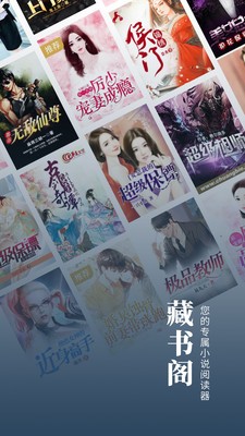 藏書閣截圖