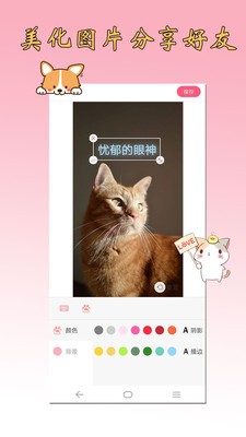 貓語(yǔ)狗語(yǔ)翻譯器截圖