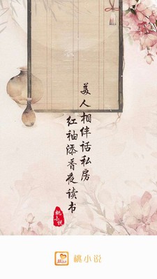 桃小說截圖