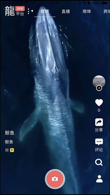 龍平臺(tái)影視app截圖