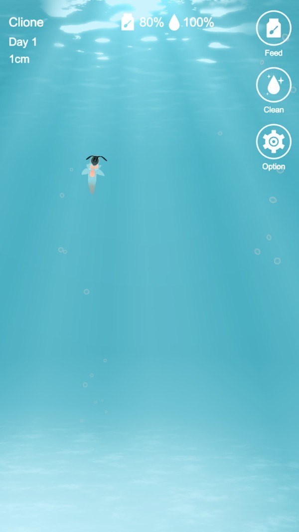 海天使生活截圖