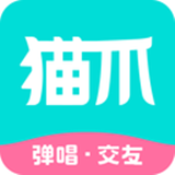 貓爪彈唱
