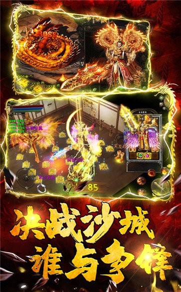 龍戰(zhàn)光輝傳奇截圖