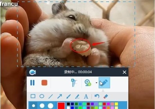 Apowersoft錄屏王2.4.1.5截圖