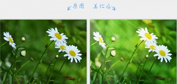 2345看圖王10.0截圖