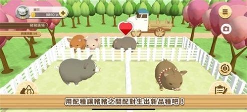 像素养猪场红包版截图