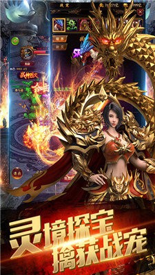 龍族霸業(yè)截圖