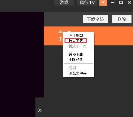 風行3.0.6.98截圖