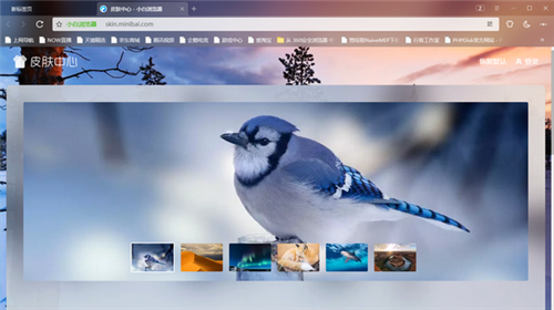 小白浏览器10.3.3217.1573