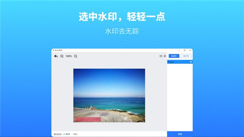幂果去水印软件