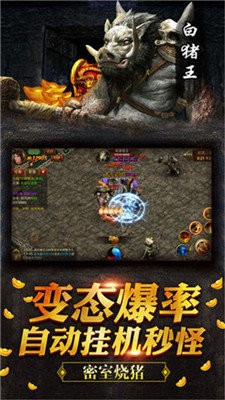 新開單職業(yè)變態(tài)傳奇截圖